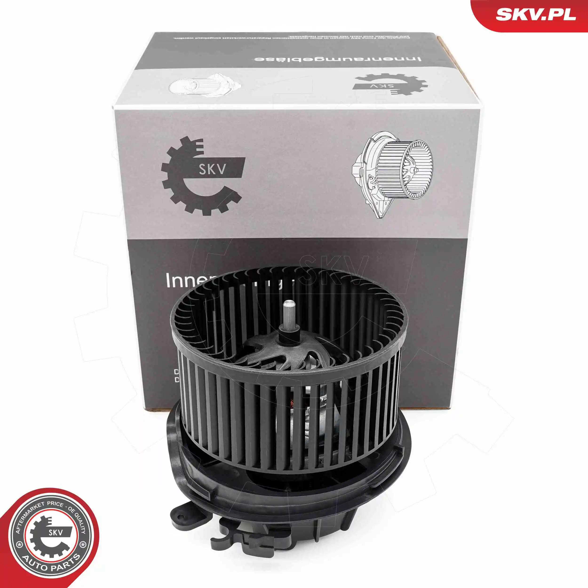 Interior Blower